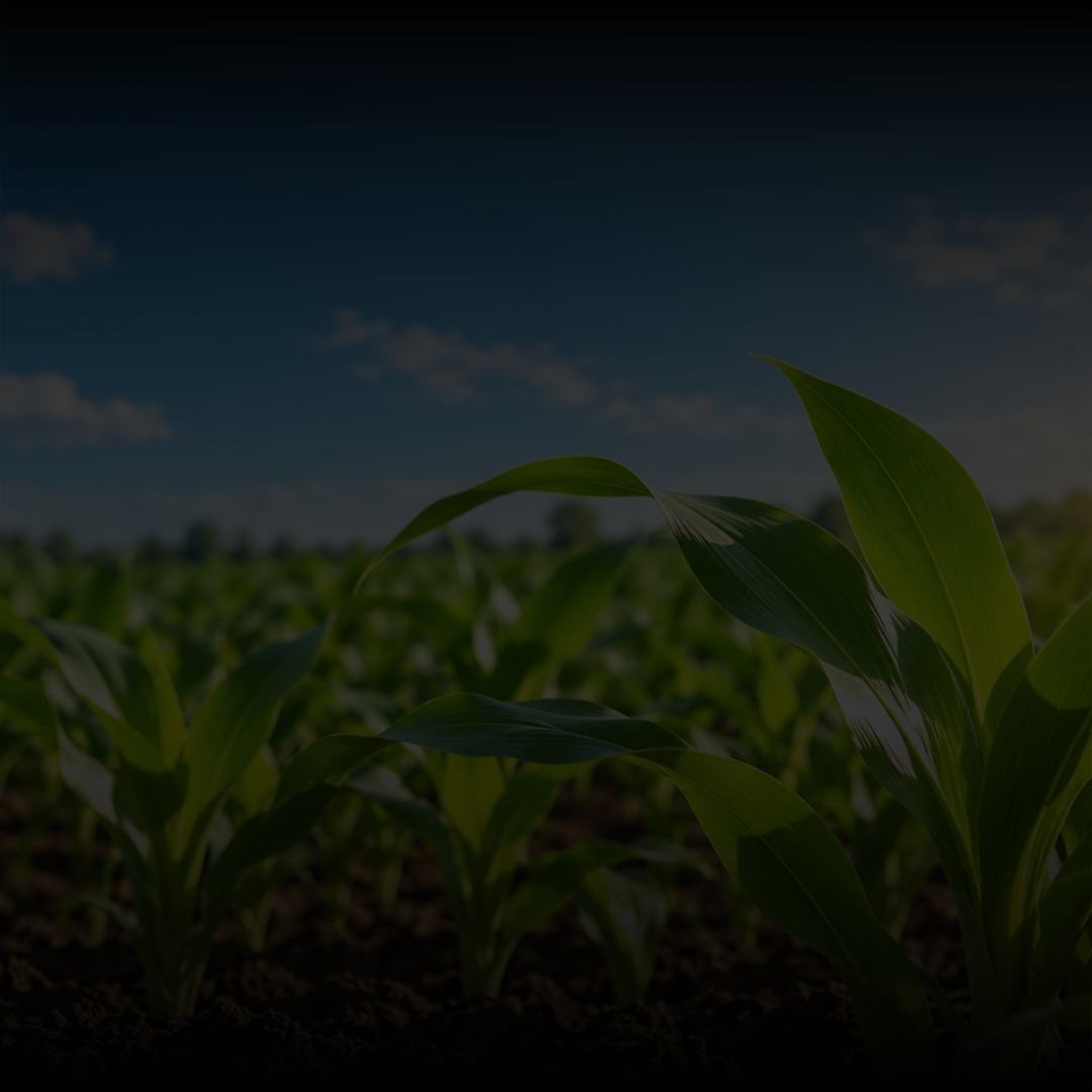 AGRICULTURE